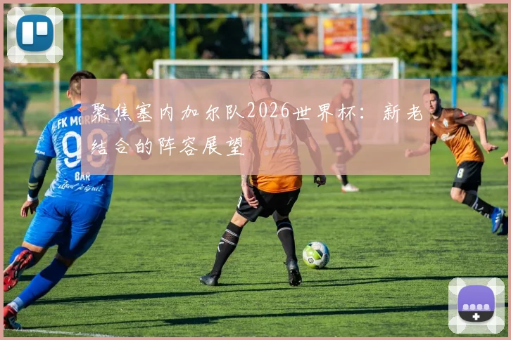 聚焦塞内加尔队2026世界杯：新老结合的阵容展望